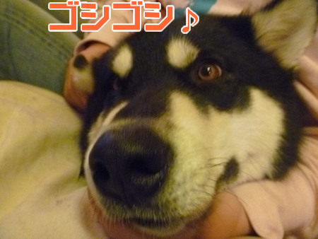 酔う03.jpg