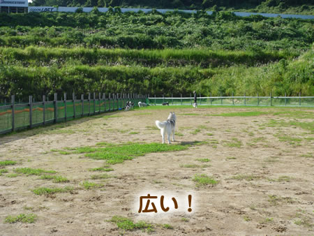 長岡1.jpg