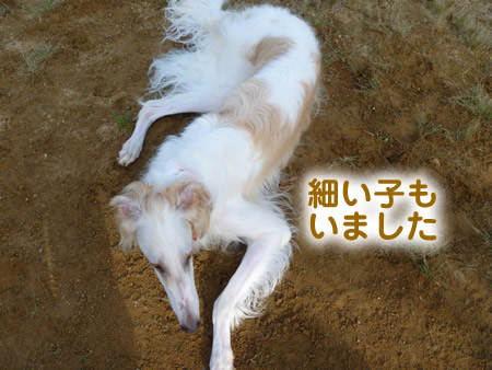 長岡10.jpg
