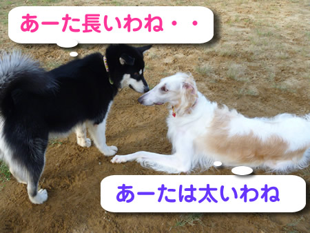 長岡12.jpg