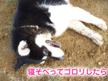 長岡14.jpg