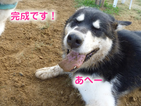 長岡15.jpg
