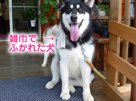 長岡16.jpg