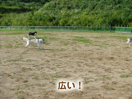 長岡2.jpg