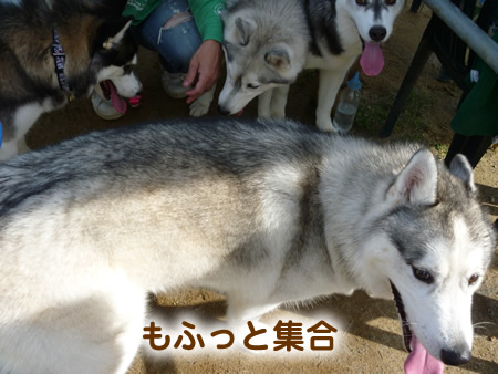 長岡4.jpg