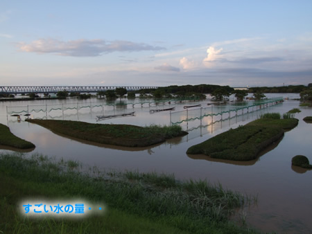 阿賀野川.jpg