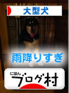 雨.jpg