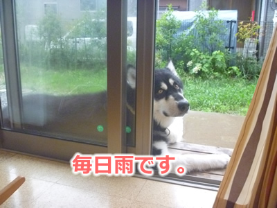 雨縁側01.jpg