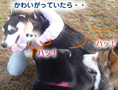 雷蔵02.jpg