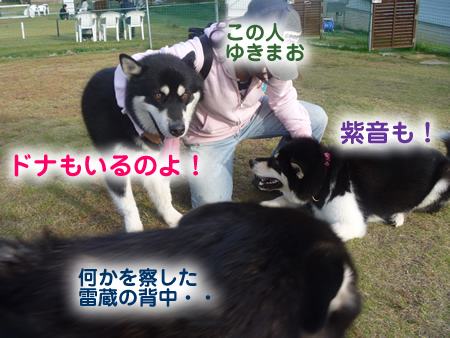 雷蔵05.jpg
