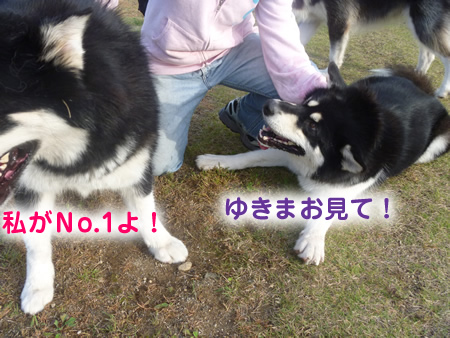 雷蔵06.jpg