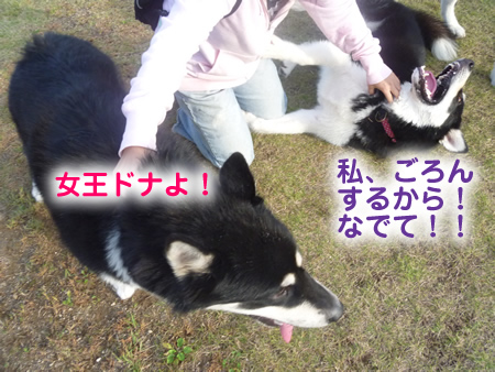 雷蔵07.jpg