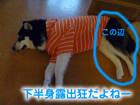 露出狂04.jpg