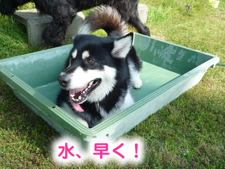 風呂05.jpg