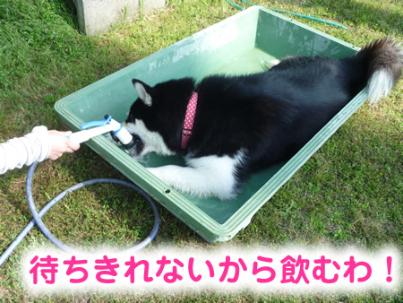 風呂06.jpg