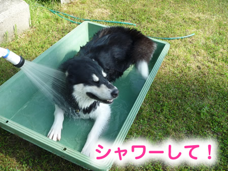 風呂07.jpg