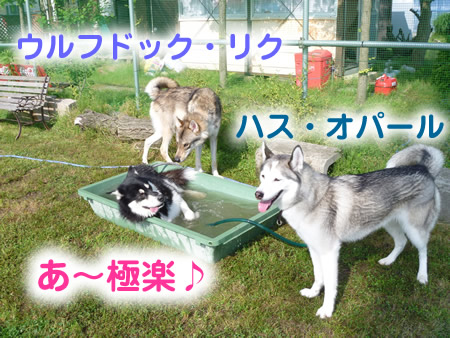風呂15.jpg