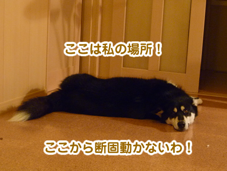 黒い塊05.jpg