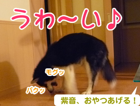 黒い塊06.jpg