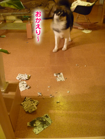 龍馬伝02.jpg