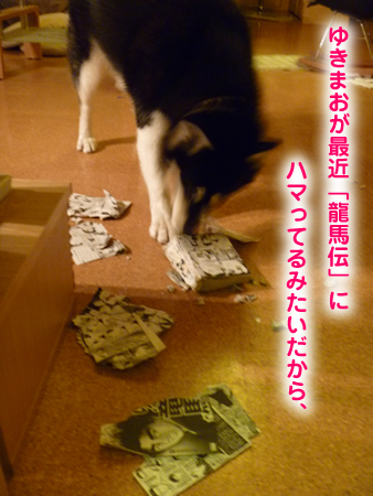 龍馬伝03.jpg