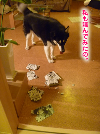 龍馬伝04.jpg