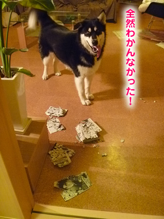 龍馬伝05.jpg