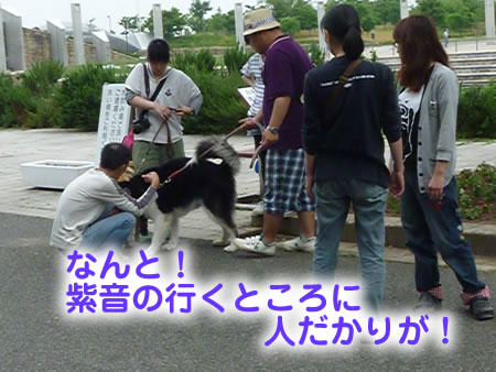 ビックスワン08.jpg