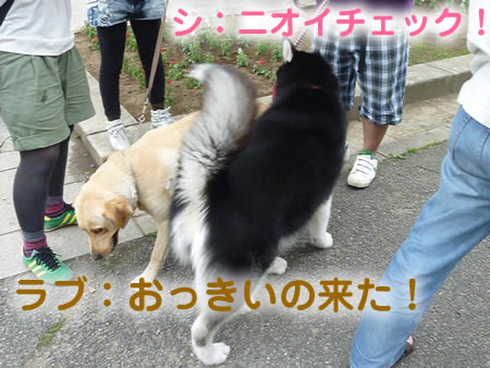 ビックスワン09.jpg