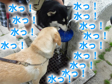 ビックスワン11.jpg