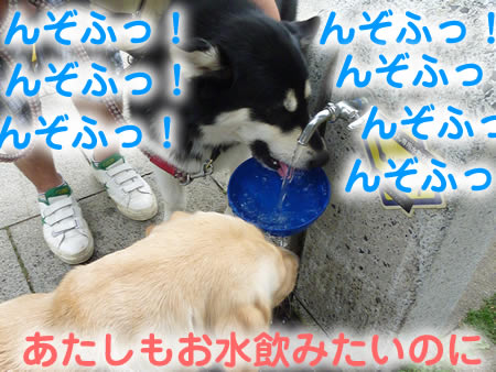 ビックスワン12.jpg