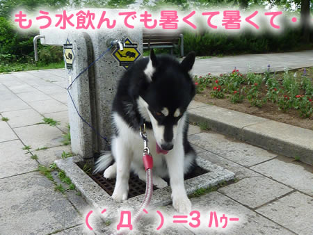 ビックスワン14.jpg