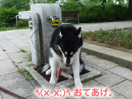 ビックスワン15.jpg