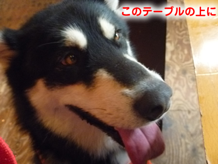 三鬼遊08.jpg