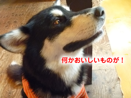 三鬼遊09.jpg