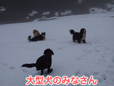 国安201226.jpg