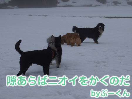 国安201227.jpg