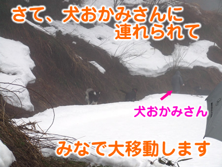 国安201229.jpg