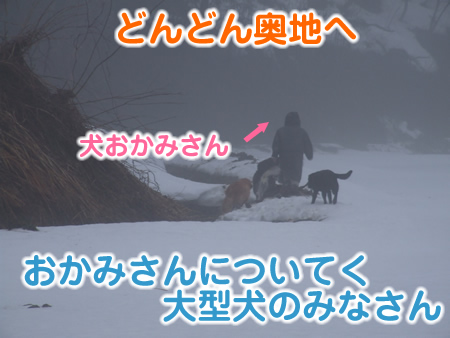 国安201230.jpg