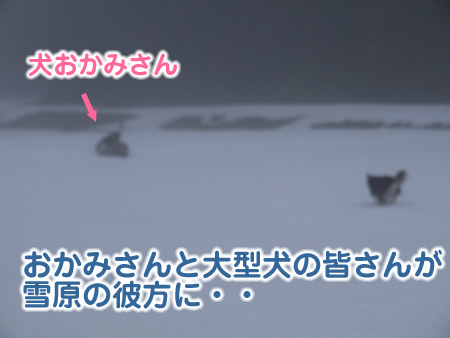 国安201231.jpg
