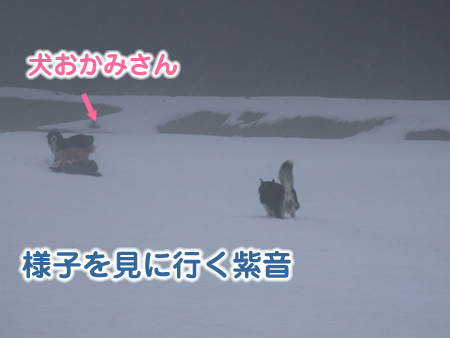 国安201234.jpg