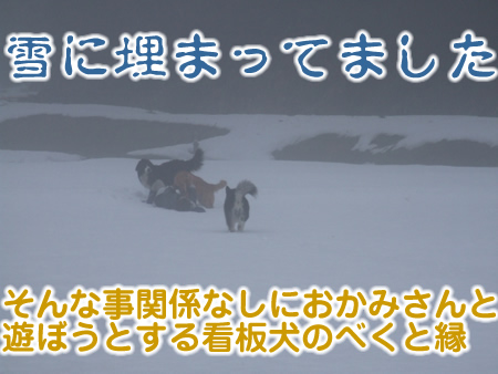 国安201236.jpg