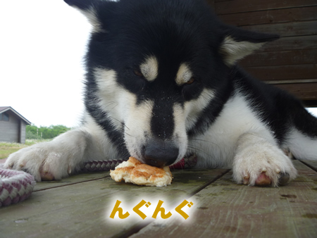 展望台08.jpg