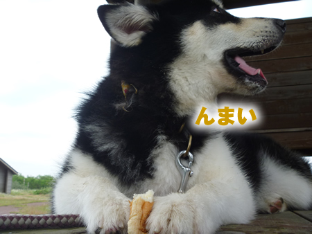 展望台10.jpg