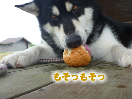 展望台11.jpg