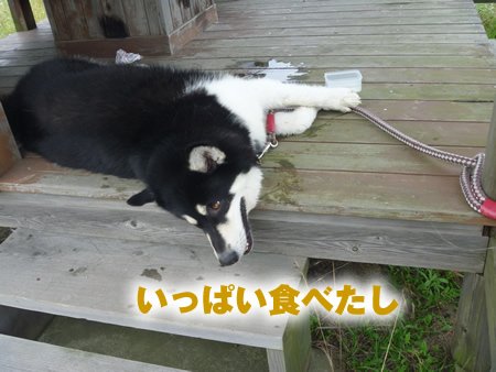 展望台15.jpg