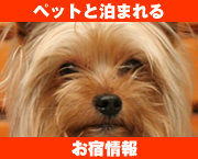 ペットと一緒に泊れるお宿情報