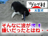 海09.jpg