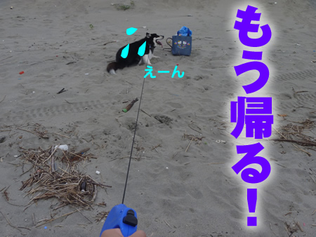 海10.jpg