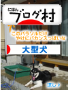 犬風呂07.jpg